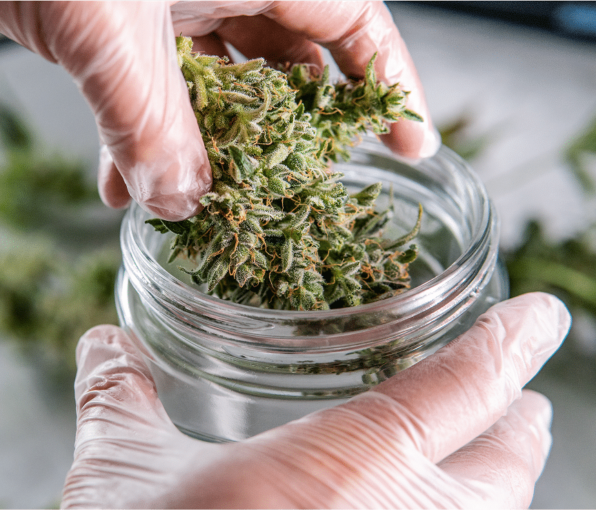 CBD pot manipulation